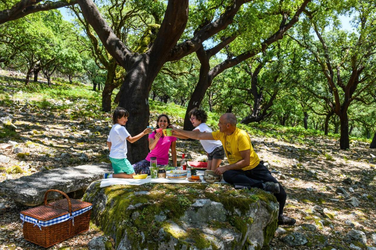 Vale Do Ninho Nature Houses Ferraria de São João Екстериор снимка