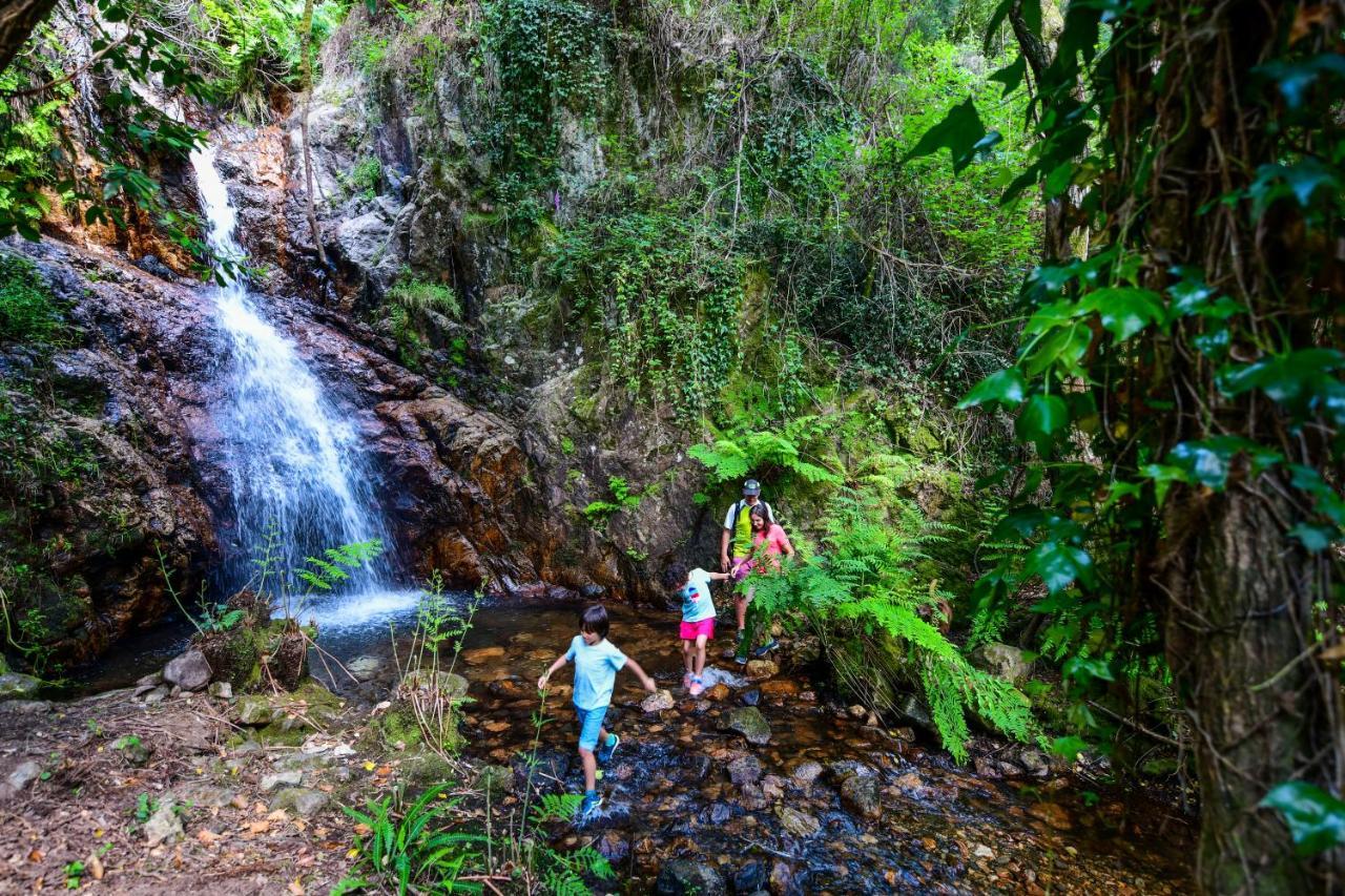 Vale Do Ninho Nature Houses Ferraria de São João Екстериор снимка